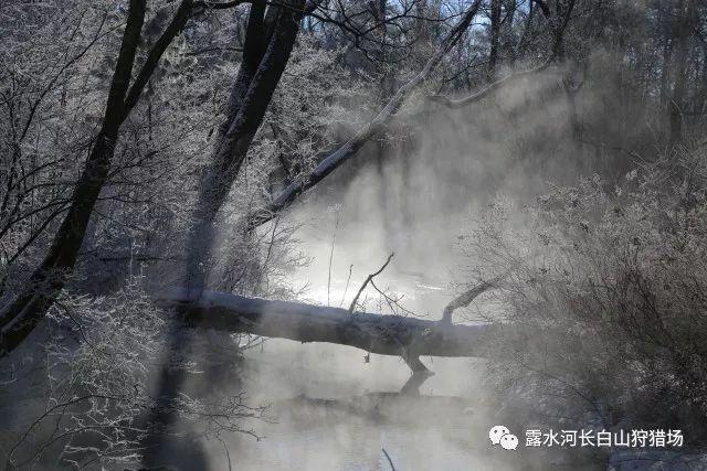 逃出漂亮花谷